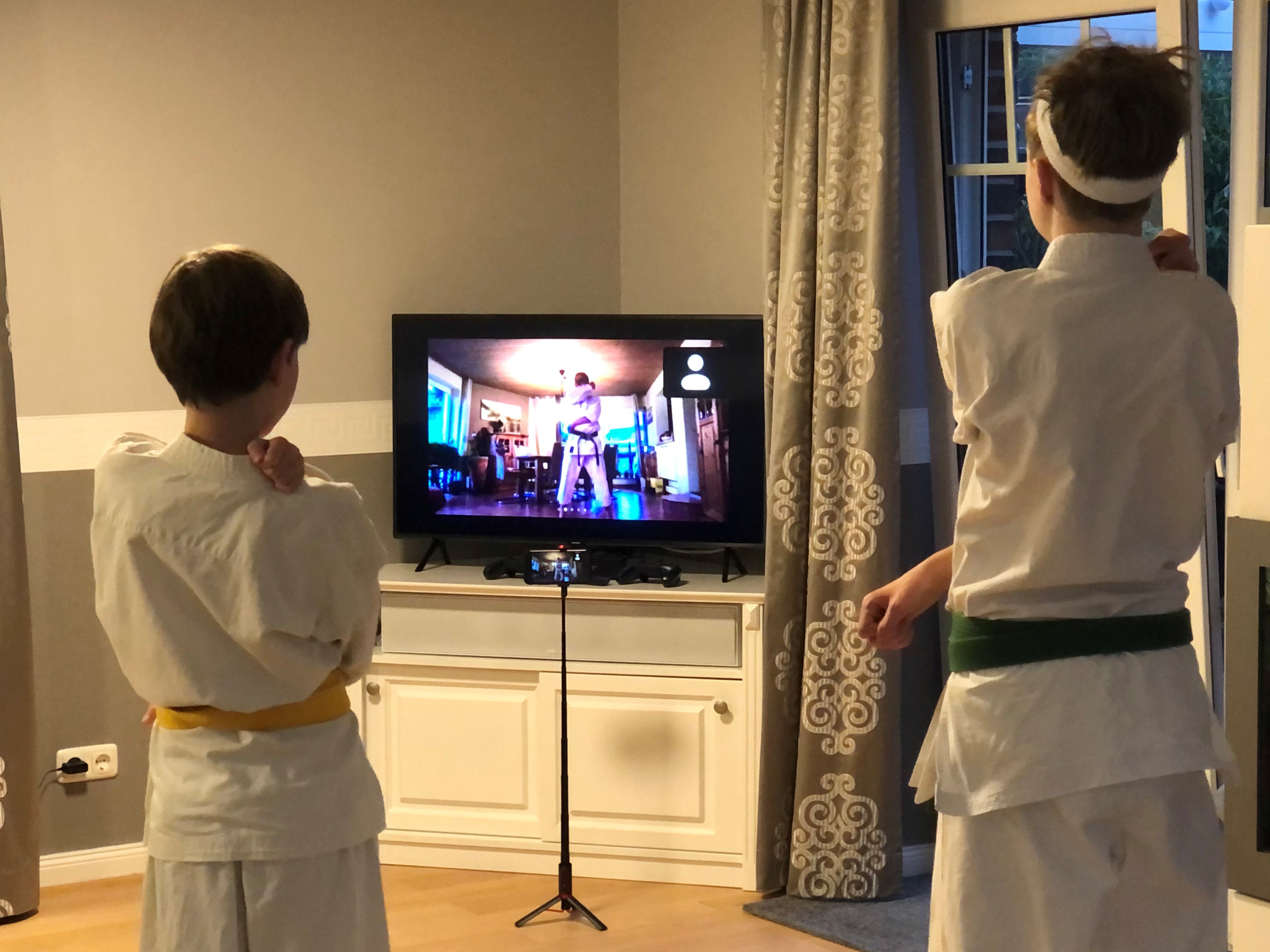 Endlich wieder Karate-Training - per Zoom!